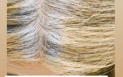 Coloración vegetal que sí cubre las canas: un caso real desde Tao Estilistas en Granada